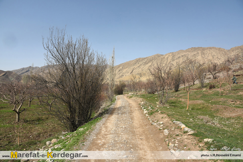 روستای امرودک